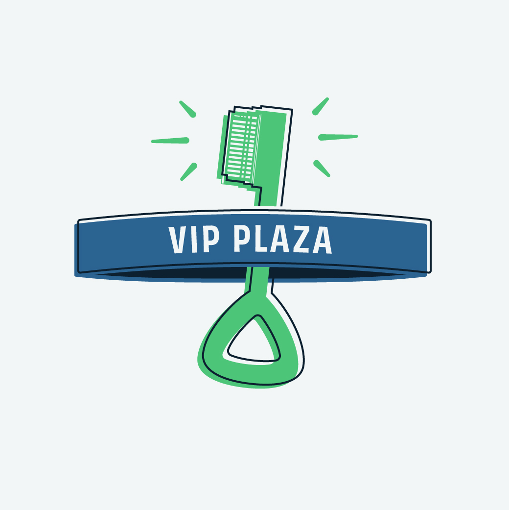 custom illustration for VIp plaza passes